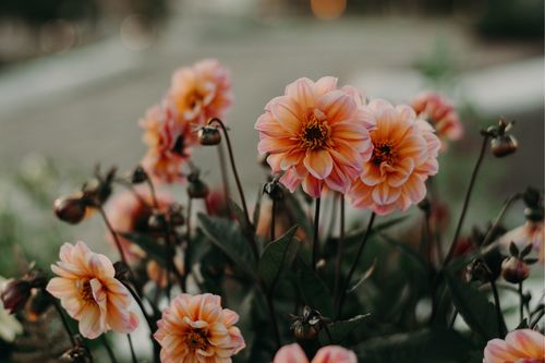 Nancy Galway