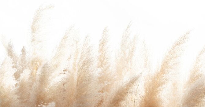 Taking Applications for membership The Grounded Life (beta/test)  image