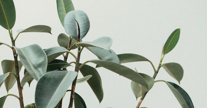 The Messenger of the Sea image